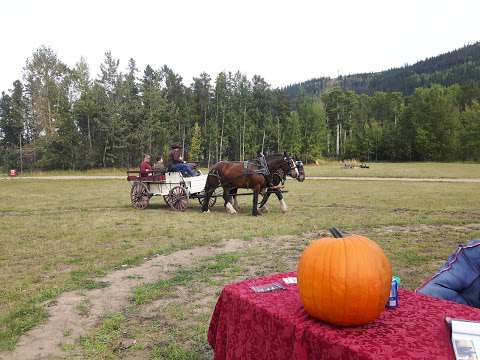 Grizzly Valley Saddle Club